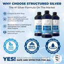 structured-silver-liquid---daily-immune--3.jpg