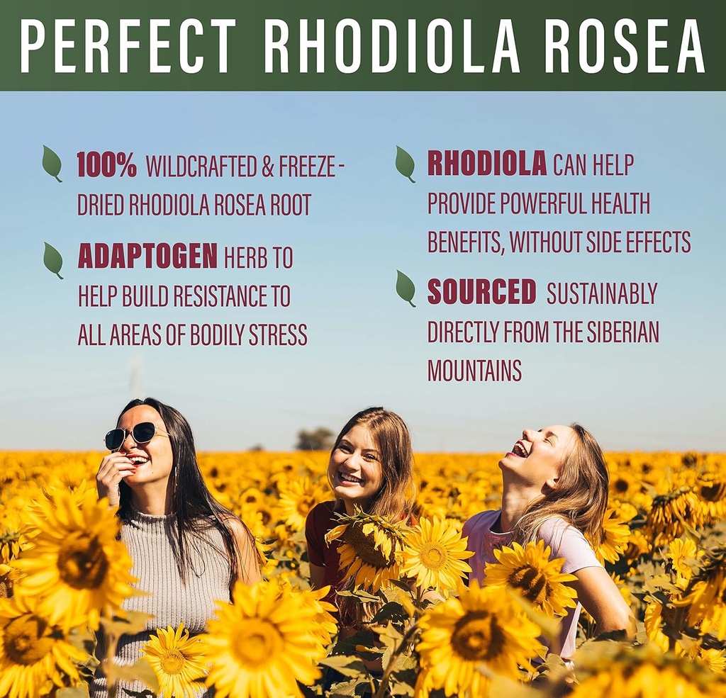 perfect-supplements-perfect-rhodiola-ros-4.jpg