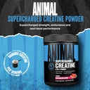 animal-supercharged-creatine-powder---fl-2.jpg