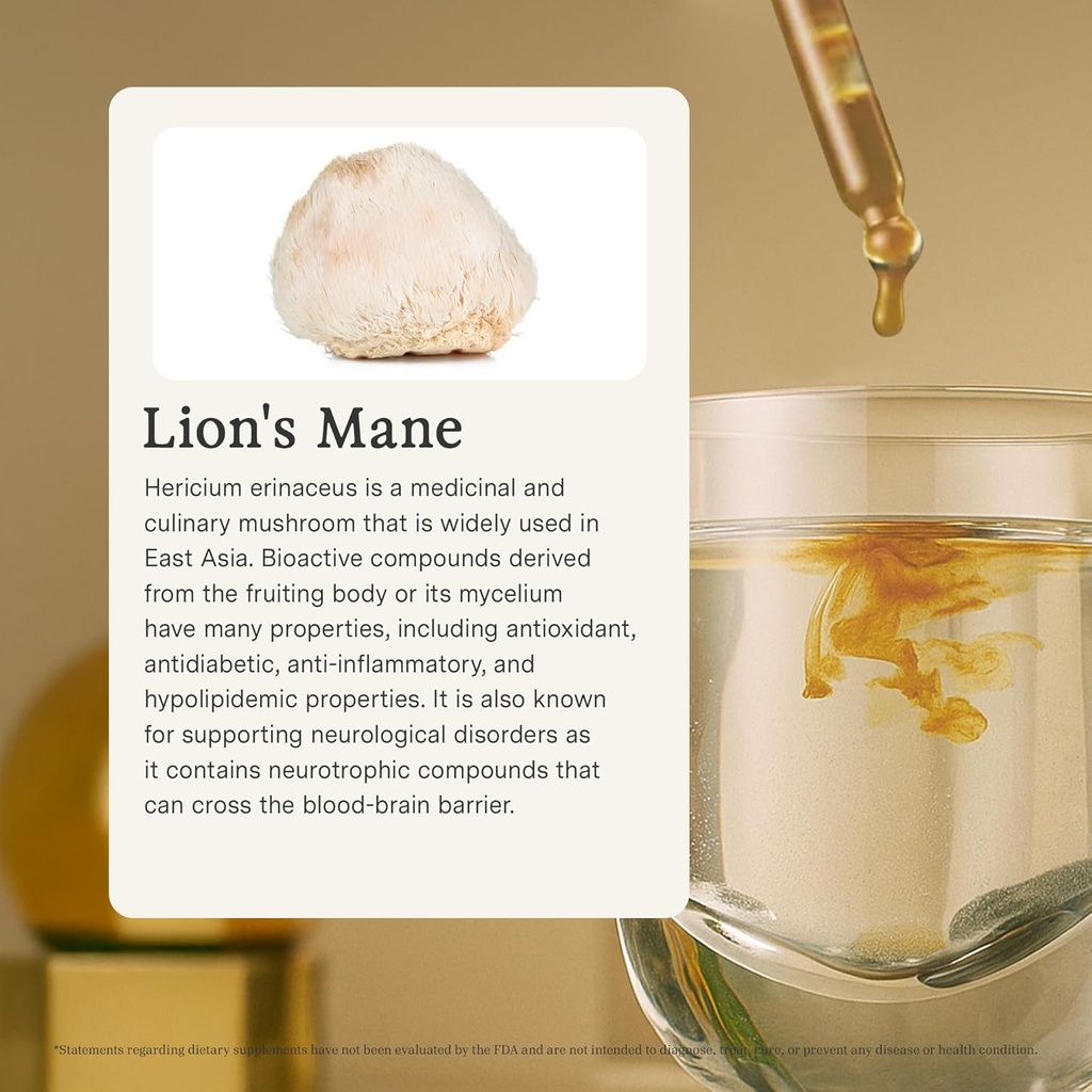 rainbo---lions-mane-mushroom-tincture----2.jpg
