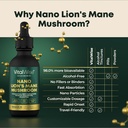 nano-lions-mane-mushroom-tincture---fast-4.jpg