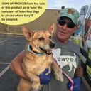 savedog-omega-itch-relief-for-dogs-healt-4.jpg