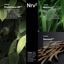 srw-laboratories-nrv2-calm-stress-sleep--2.jpg