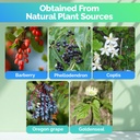 berberine-supplement---natural-plant-bas-2.jpg