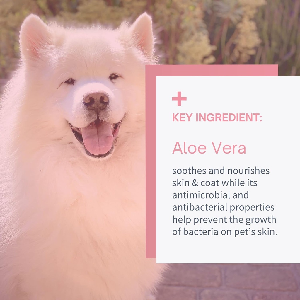 tear-stain-remover-eye-wipes-for-dogs-ca-5.jpg