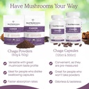 real-mushrooms-chaga-mushroom-powder-org-6.jpg