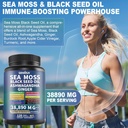 sea-moss-and-shilajit-sea-moss-black-see-3.jpg