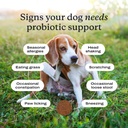 petlab-co-probiotics-for-dogs-support-gu-5.jpg