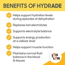 hydrade-powder---electrolytes-for-dog-ca-4.jpg