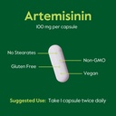 bestvite-artemisinin-100mg-per-capsule-1-5.jpg
