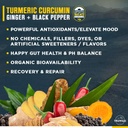 truwild-vegan-turmeric-curcumin-drink-mi-3.jpg