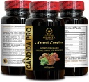 generic-candida-pro---intestinal-support-5.jpg