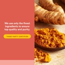 curcuminrich-whole-body-curcumizer-by-na-5.jpg