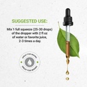 secrets-of-the-tribe-milk-thistle-tinctu-3.jpg