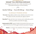 solgar-full-spectrum-curcumin-brain-work-5.jpg