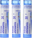 boiron-ambrosia-ragweed-allergy-relief-3-3.jpg