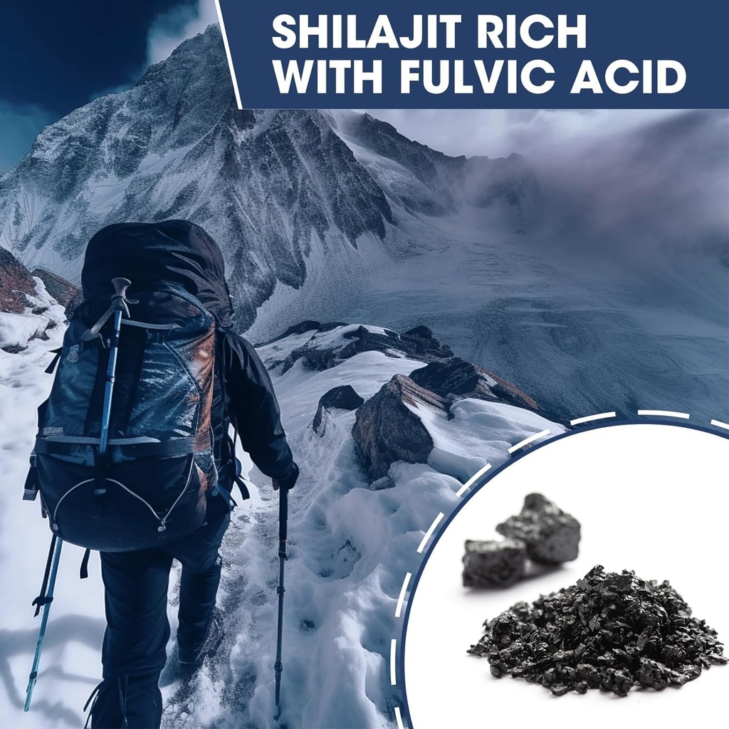 shilajit-supplement-shilajit-capsules-wi-2.jpg