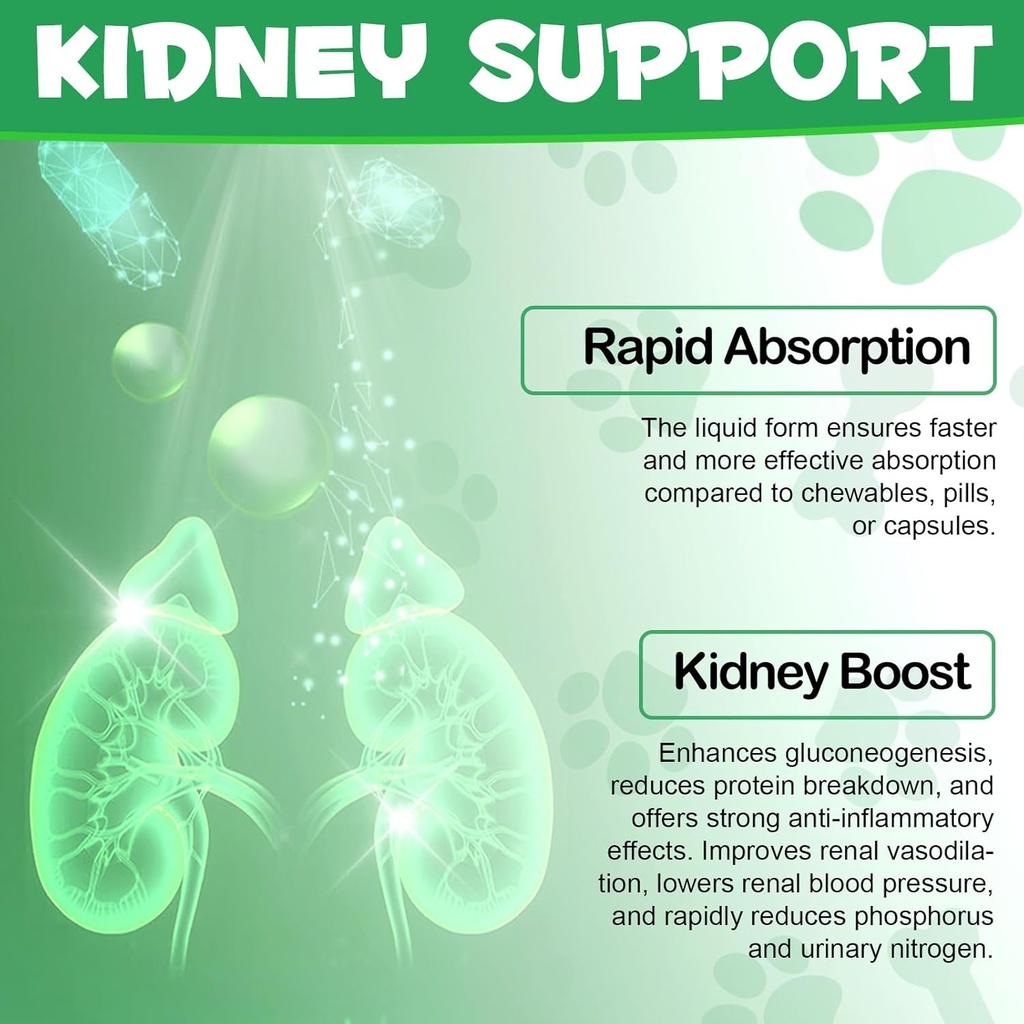 alivo-liver-support-for-cats-liver-and-k-6.jpg