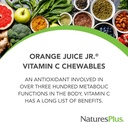 naturesplus-orange-juice-jr---pack-of-2--3.jpg