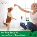 omega-3-skin-and-coat-chews-for-dogs-dog-6.jpg