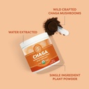 vimergy-chaga-powder-superfood-cellular--3.jpg
