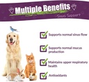 amber-naturalz-pet-cc-herbal-supplement--2.jpg