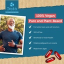 testa-omega-3-vegan-krill-supplement-100-3.jpg