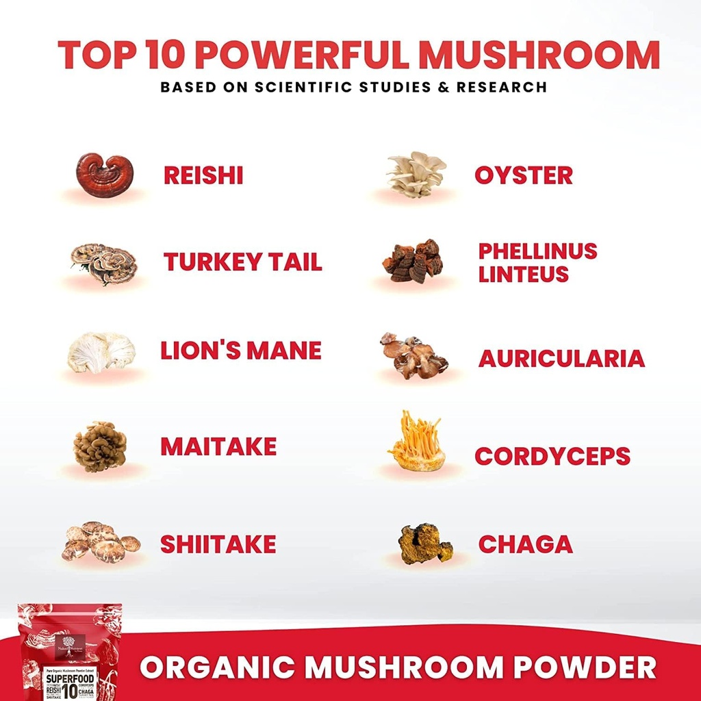 organic-mushroom-powder-extract--superfo-5.jpg