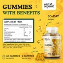 wild-organic-coq10-gummies-magnesium-cit-3.jpg