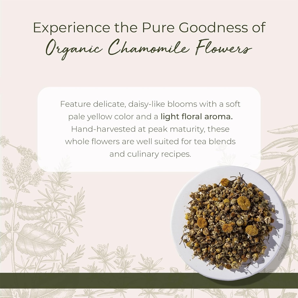 Starwest Botanicals Organic Chamomile Flowers Whole - Dried Loose Leaf Herb for Tea, Herbal Lotions, & Baking, Sourced from Egypt, Certified Kosher, Non-GMO - Bulk 1 lb Bag 3