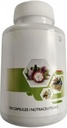 Renatus Nova Original 120 Capsule, Herbal Supplements Capsules for Immune System with12 Natural Ingredients 2