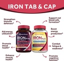 doctors-recipes-iron-65-mg-iron-plus-bun-3.jpg