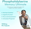 phosphatidylserine-nootropics-brain-supp-3.jpg