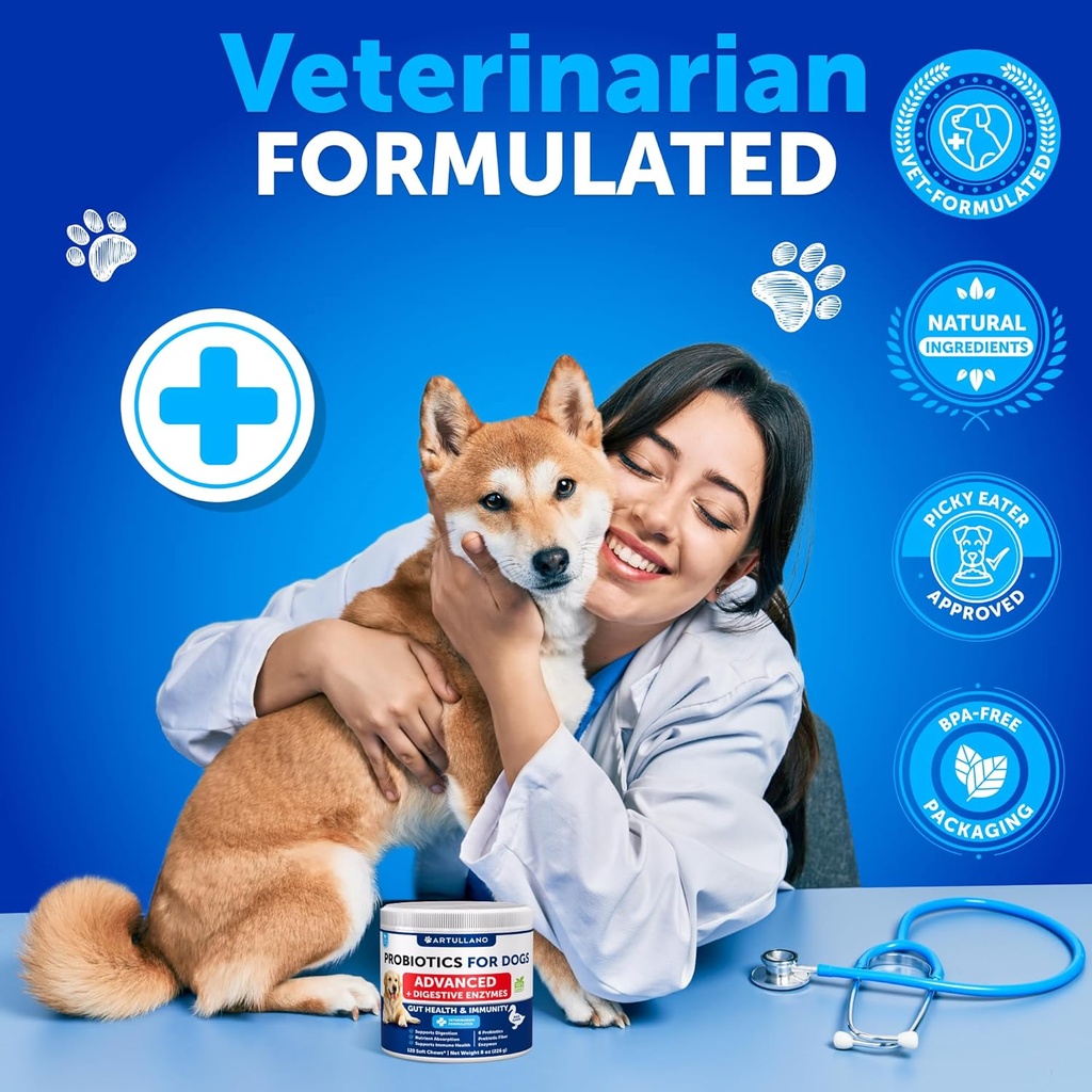 probiotics-for-dogs---support-gut-health-6.jpg