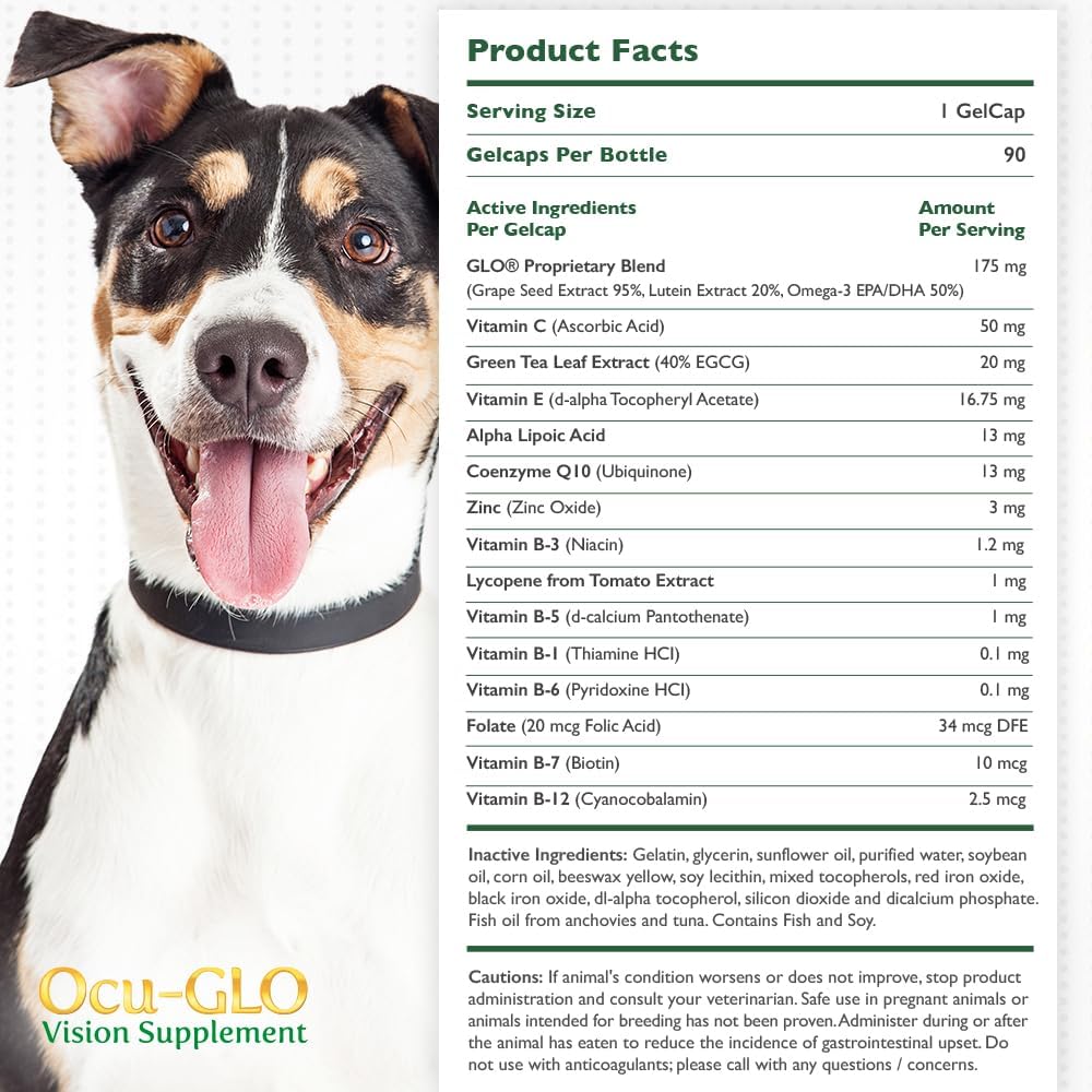 ocu-glo-canine-vision-supplement-for-sma-3.jpg