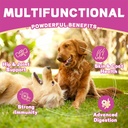 nutritrail-multivitamin-for-dogs-10-in-1-2.jpg