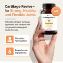 upwellness-cartilage-revive-joint-suppor-3.jpg