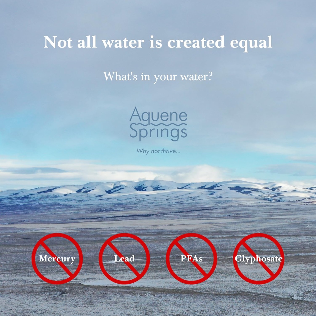 aquene-springs-silica-source-water-pure--4.jpg