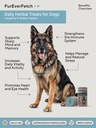 senior-dogs-brain-vision-support-slows-c-2.jpg