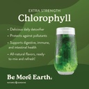 natures-sunshine-chlorophyll-stick-packs-2.jpg
