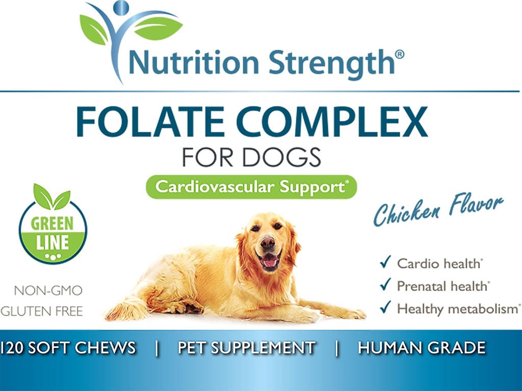 folate-for-dogs-to-promote-cardiovascula-6.jpg
