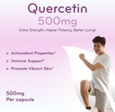 high-strength-quercetin-500mg-capsules---5.jpg