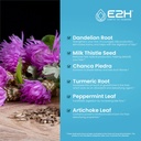 e2h-liver-support-supplement-and-cordyce-2.jpg