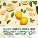 ricola-sugar-free-lemon-mint-throat-drop-4.jpg