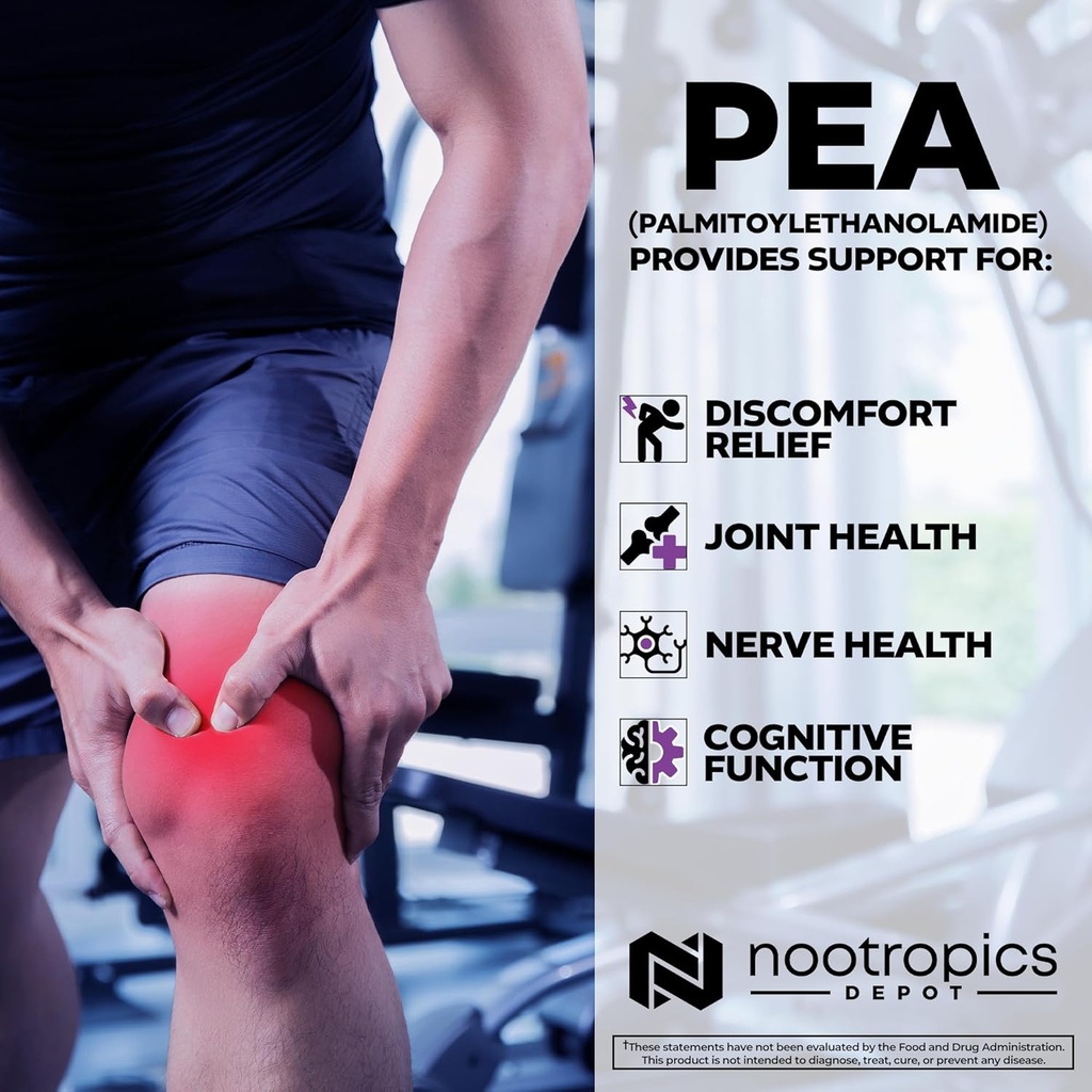 nootropics-depot-palmitoylethanolamide-c-4.jpg