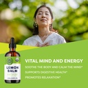 vimergy-brain-body-rescue-kit-ashwagandh-3.jpg