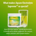 jigsaw-health-electrolyte-supreme-broad--6.jpg