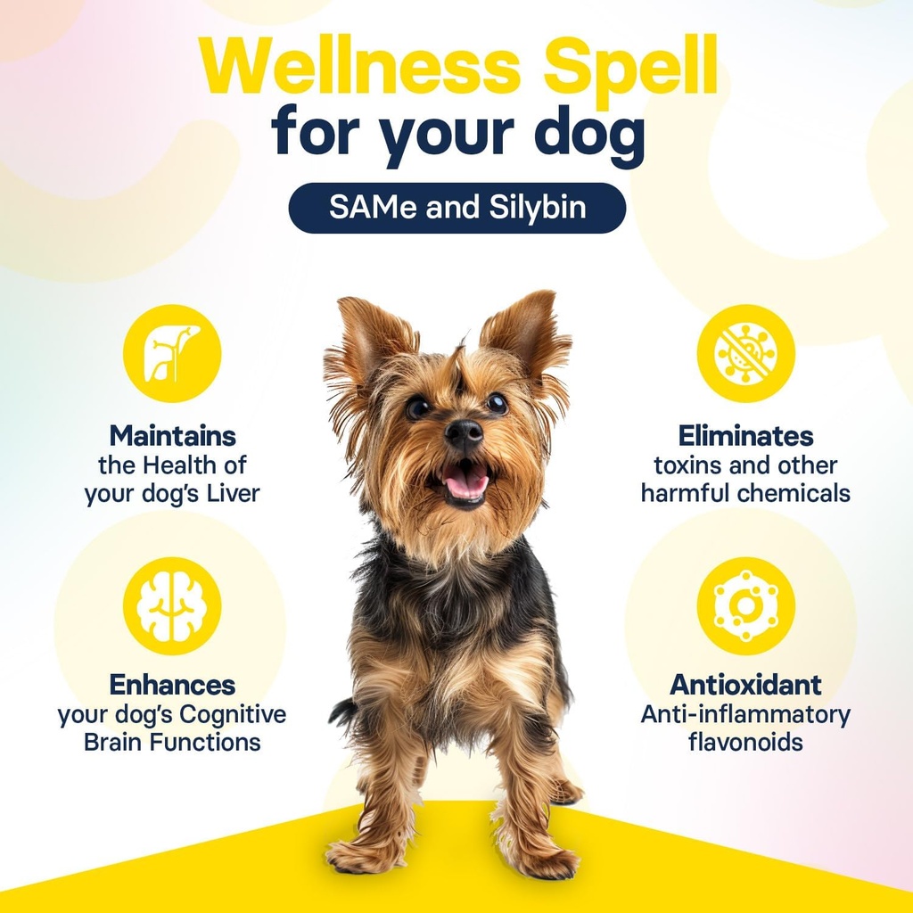 liver-health-supplement-for-small-dogs---6.jpg