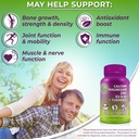 supplements-studio-comprehensive-wellnes-4.jpg
