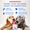native-pet-the-daily-dog-supplement-60-s-3.jpg